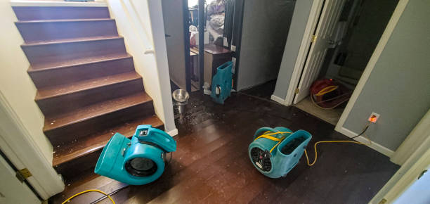 Best Water damage restoration near me  in Walnut Grove, CA